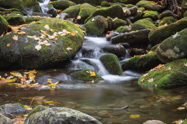 крик с проточной водой через мох и осенний лист покрыты валуны - waterfall great smoky mountains great smoky mountains national park tennessee стоковые фото и изображения