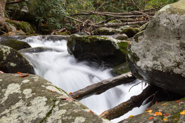 мертвые деревья в стремительном горном ручье осенью - waterfall great smoky mountains great smoky mountains national park tennessee стоковые фото и изображения