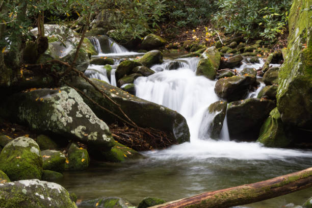 водопад между зелеными мшистыми скалами в грейт-смоки-маунтинс - waterfall great smoky mountains great smoky mountains national park tennessee стоковые фото и изображения