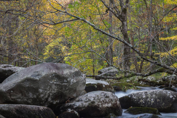 istock Large deadfall tree top across a stream with large rocks in an autumn landscape 1025420446
