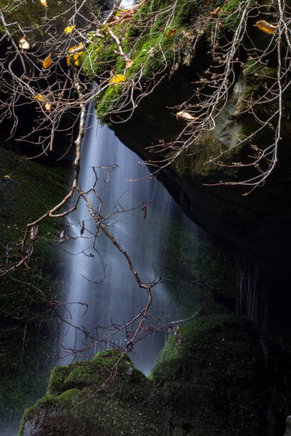 лист падающей воды между скалами в горном ландшафте - waterfall great smoky mountains great smoky mountains national park tennessee стоковые фото и изображения