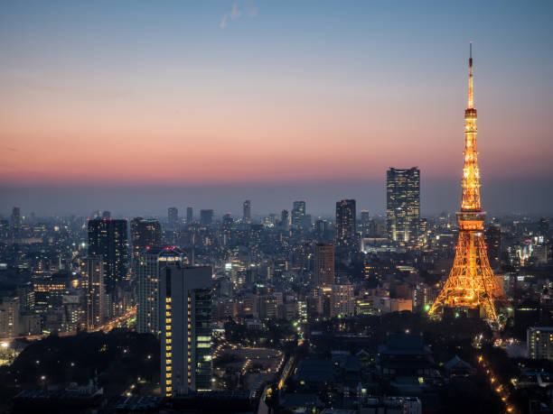 istock Night view in Tokyo,Japan 1025422762