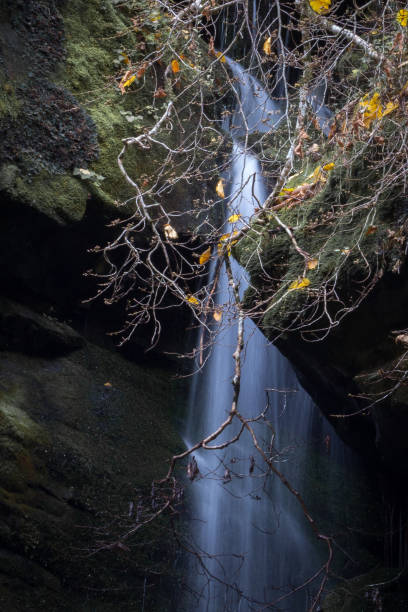 вода, падаемая в лист между скалами в осеннем горном ландшафте - waterfall great smoky mountains great smoky mountains national park tennessee стоковые фото и изображен�ия