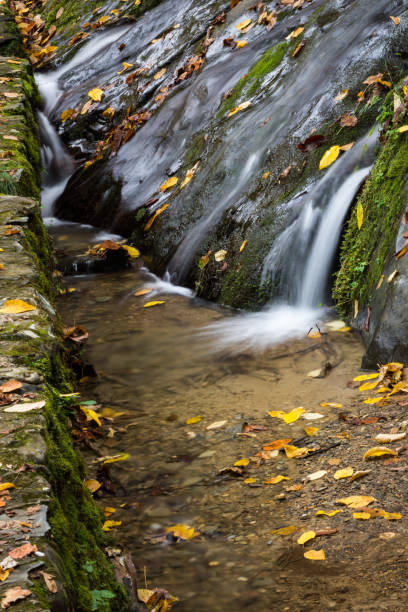 woda płynąca przez skały do rozlewu, sezon jesienny z jesiennymi liśćmi - great smoky mountains great smoky mountains national park forest appalachian mountains zdjęcia i obrazy z banku zdjęć
