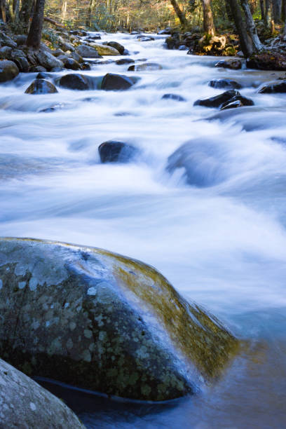 mokre odbicia skalne, niski widok na szybki górski strumień jesienią - great smoky mountains great smoky mountains national park forest appalachian mountains zdjęcia i obrazy z banku zdjęć