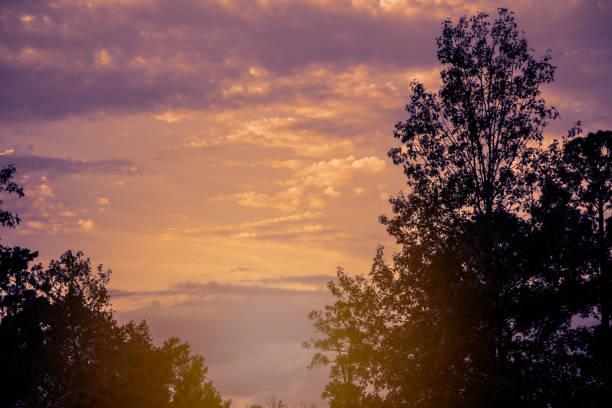 istock Sunset sky with clouds in vibrant hues. 1025426786