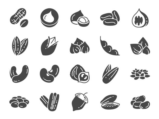 орехи, семена и бобы значок набор. включены иконы, как грецкий орех, кунжут, зеленая фасоль, кофе, миндаль, пекан и многое другое. - pine nut illustrations stock illustrations