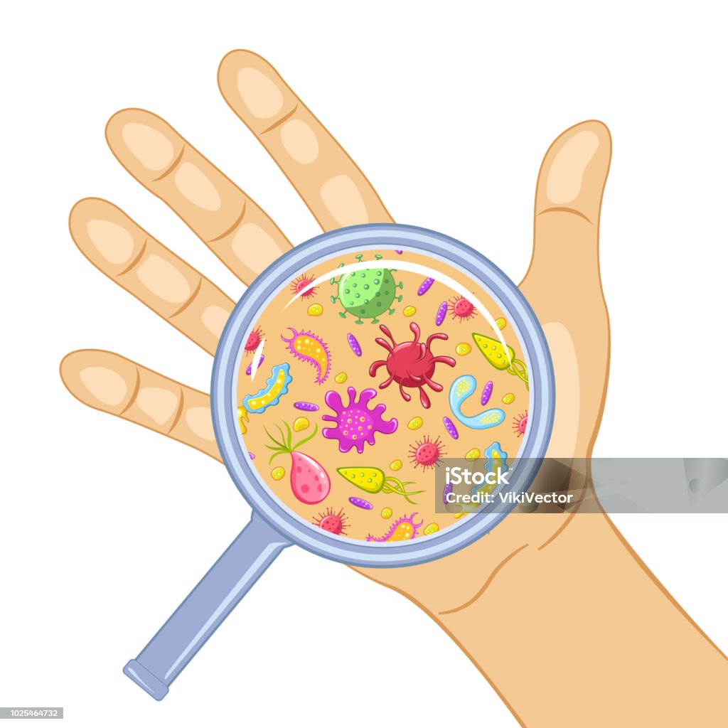 Germs on a dirty hand Germs on a dirty hand. Bacteria under magnifier, hand washing and hygiene campaign poster. Vector flat style cartoon illustration isolated on white background Hand stock vector