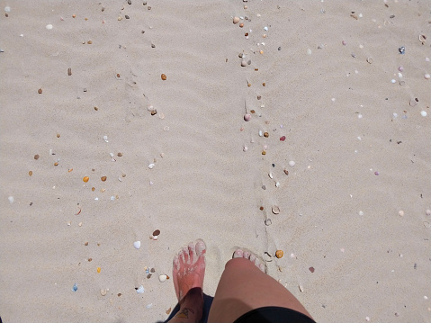 Personal perspective of my feet in the sand of the beach lined with sea shells under the sun