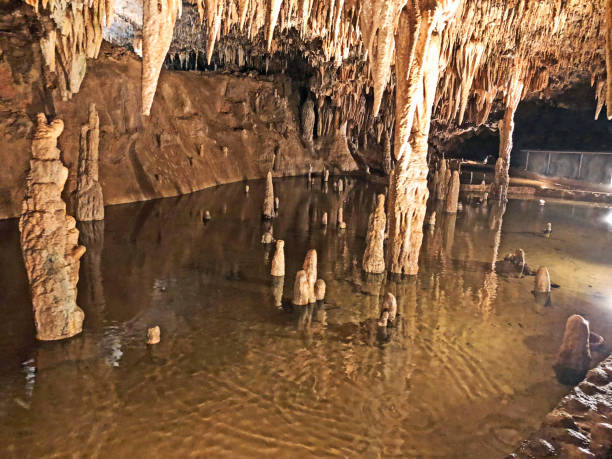 внутри пещеры meramec в миссури - stalactite стоковые фото и изображения