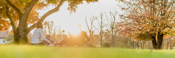 若い家族は 3 人の子供が一緒に一日を楽しんでとリア全景 - panoramic child scenics forest ストックフォトと画像