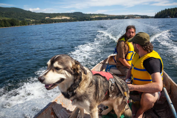 istock Friends on a boat 1025477262