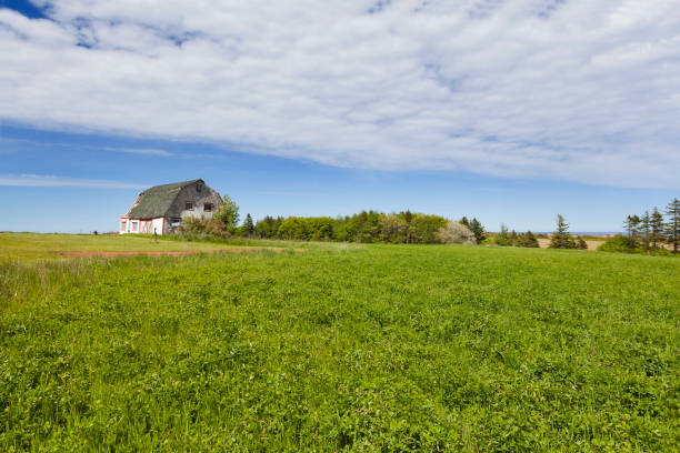 istock Prince Edward Island Canada 1025480680