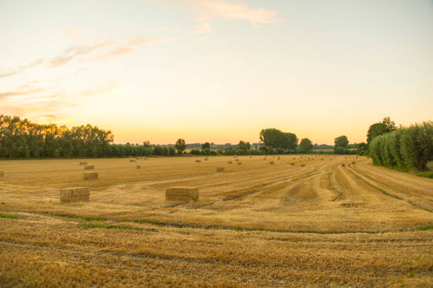 istock sundown dusk sunset vibrant sky rolling hills countryside rural scenic view 1025483858