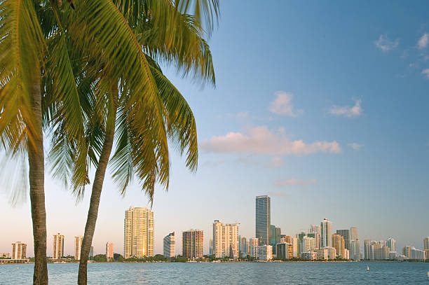 istock miami florida bayfront skyline at dawn 102548394