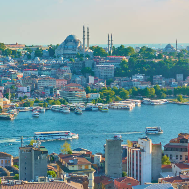 istock Istanbul and Golden Horn inlet 1025495084