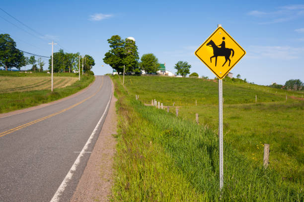 istock Horse Crossing Sign 1025499086