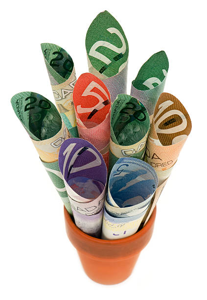 istock Canadian Cash 102550100