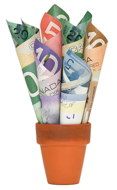 canadian dinheiro - photography still life vertical bill - fotografias e filmes do acervo