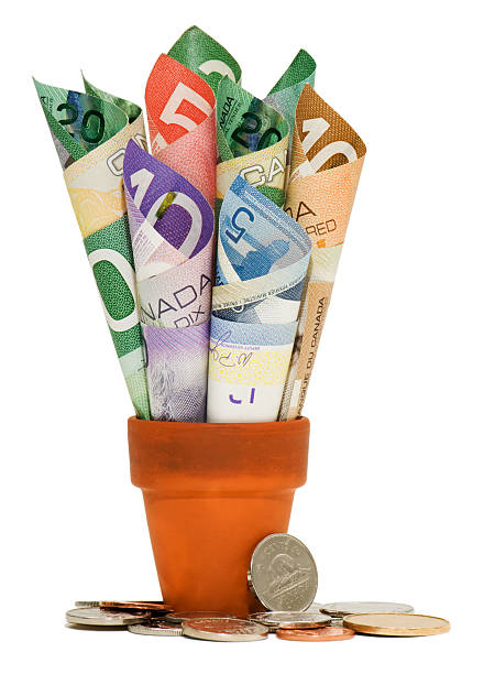 canadian cash and coins - endollarsmynt kanadensiskt mynt bildbanksfoton och bilder