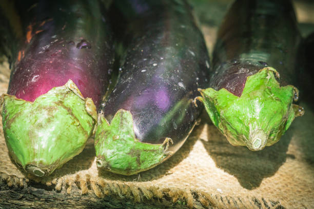 aubergine close-up macro - eggplant vegetable food close up photos et images de collection