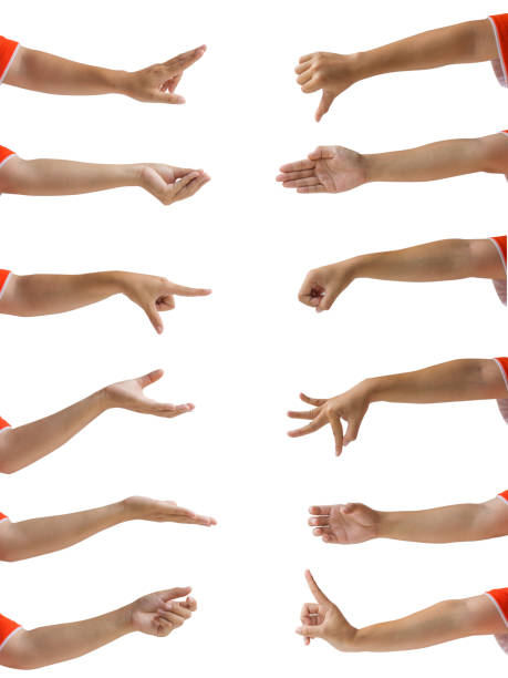 istock Cropped of multiple female hand gesture against white background include clipping path. 1025516922