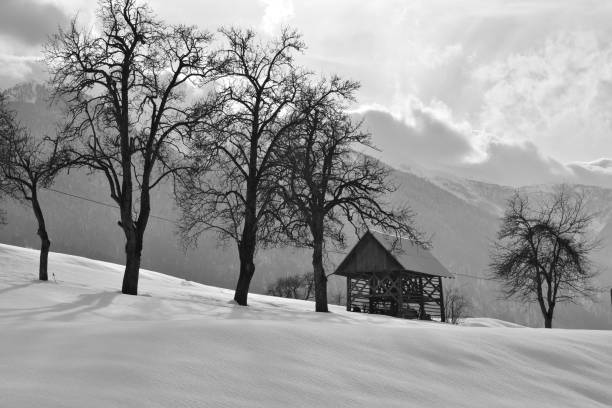 istock Beautiful winter scene in black and white 1025520912