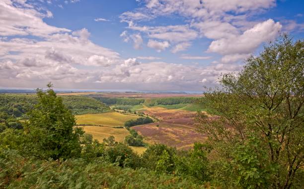 istock A deep valley in the North York Moors. 1025526372