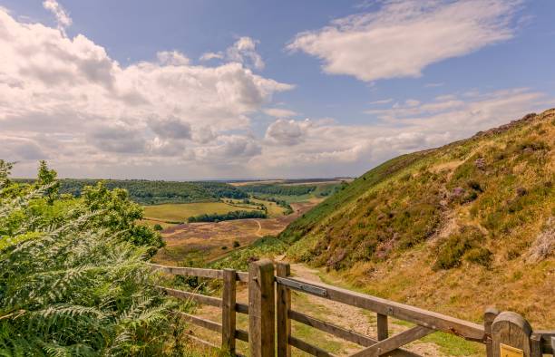 istock A deep valley in the North York Moors. 1025526426