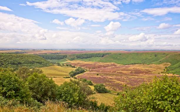 istock A deep valley in the North York Moors. 1025528466