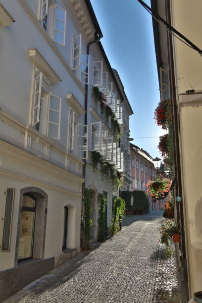 calle de ljublijana en día soleado - ljublijana fotografías e imágenes de stock