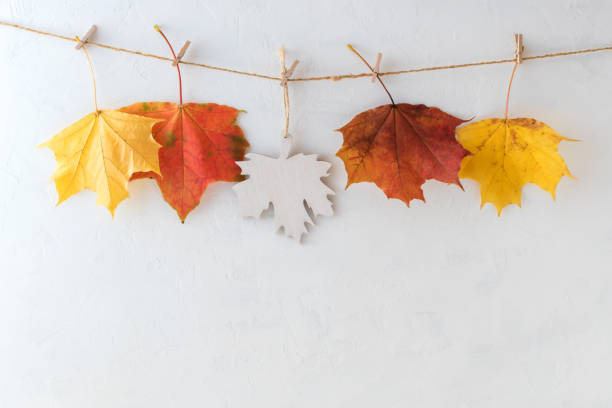 istock Bright autumn leaves on a light background 1025552704