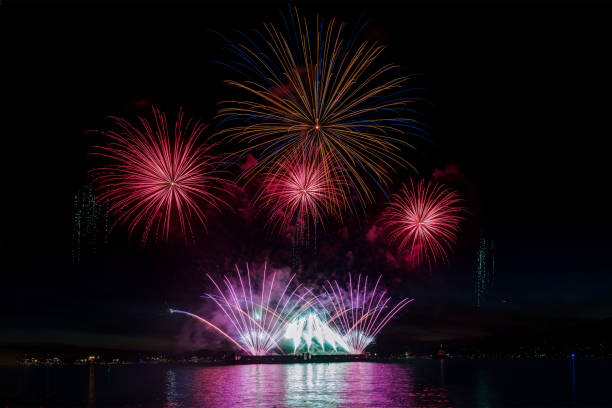 istock fireworks at sea inlet 1025552946