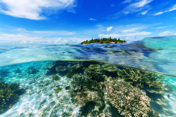 istock Travel to Maldives. 1025560914