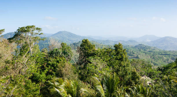 istock panoramic view from the hill Big Buddha in Phuket Thailand 1025566198