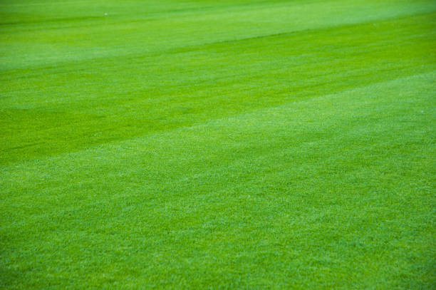 istock Outdoor stadium with green grass 1025574572