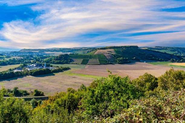 vista panorâmica de hindenburg aponte para o vale do rio nahe - hindenburg - fotografias e filmes do acervo
