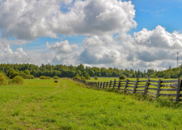 istock Summer cloudy day on a hay meadow. 1025588388