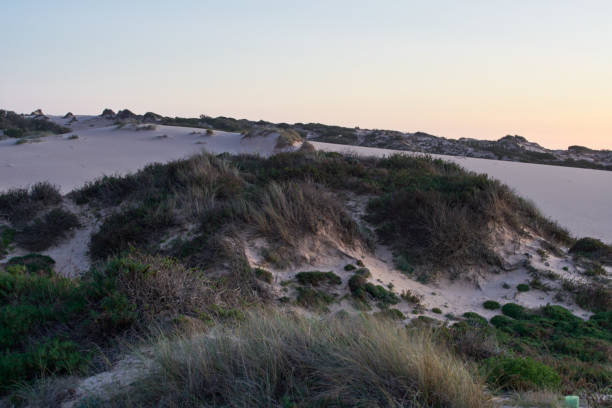 istock Sand dunes at Praia do Guincho Beach 1025589806