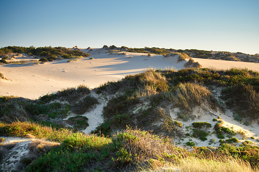 Imposing dunes of golden sand dotted with the Mediterranean scrub in Piscinas, an oasis far from everything