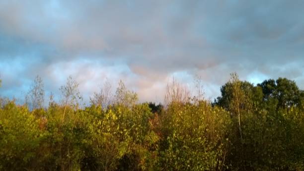 istock Superb thunderstorm cloudscape in gray pink orange and blue shades over apple tree orchard 1025604824