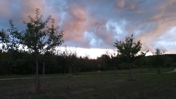 istock Superb thunderstorm cloudscape in gray pink orange and blue shades over apple tree orchard 1025605168