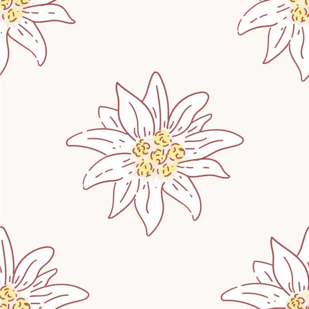 Vector illustration of edelweiss flower seamless pattern, tile symbol alpinism alps germany logo