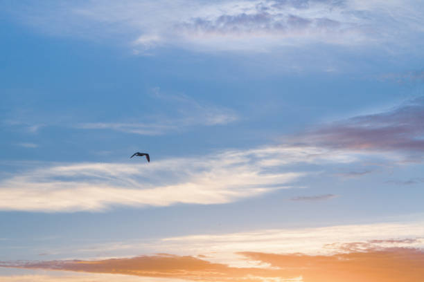 istock Beautiful summer sunset with clouds over the sea 1025614342