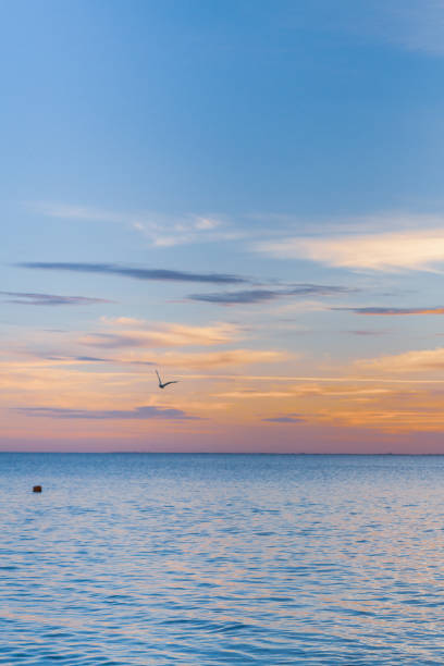 istock Beautiful summer sunset with clouds over the sea 1025617026