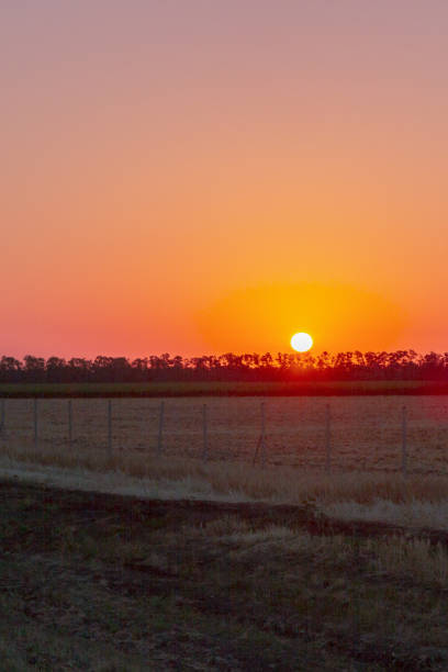 istock Bright dawn in the field above the trees in summer 1025617566