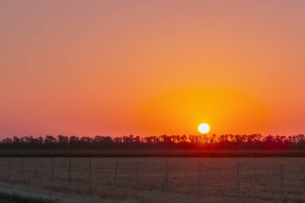 istock Bright dawn in the field above the trees in summer 1025617590