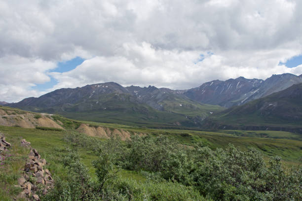 istock Denali National Park Green Transit Bus Tour 1025620992