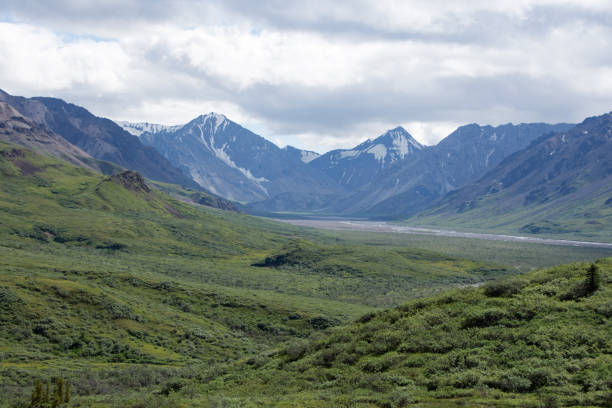 istock Denali National Park Green Transit Bus Tour 1025621366