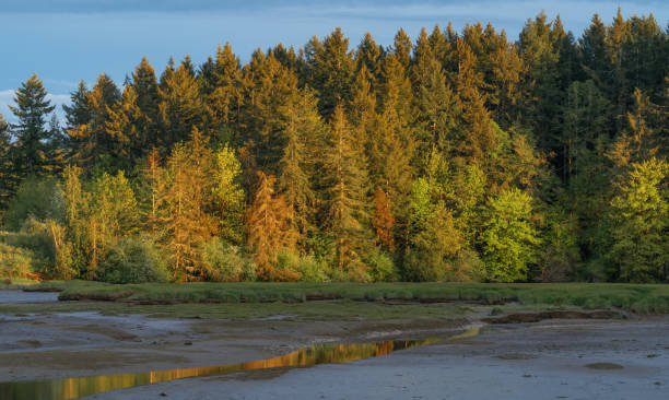 istock Oyster Bay At Sunset 1025621400